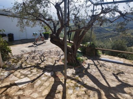 Finca rústica de alquiler en Camino de Coín, Centro ciudad - Photo 3