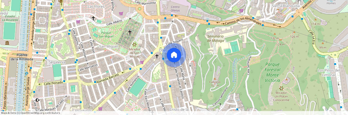 Calle Ramírez de Madrid, Málaga, Andalusia 29013, Malaga