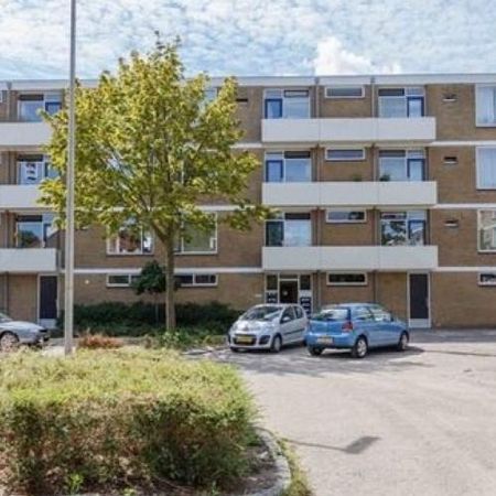 Cederstraat, 2404 Alphen aan den Rijn, Nederland - Foto 4