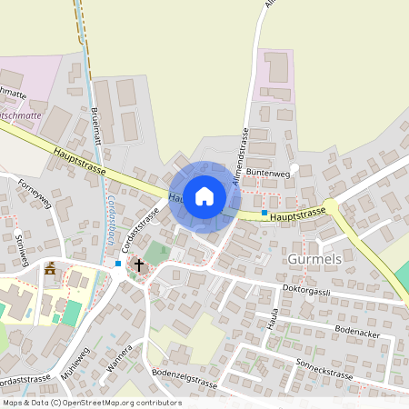 Auf Anfrage 1, 3212 Gurmels