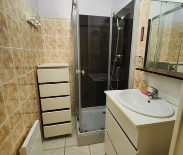 Location Appartement 2 pièces 26m² CHENY 89400 - Photo 4