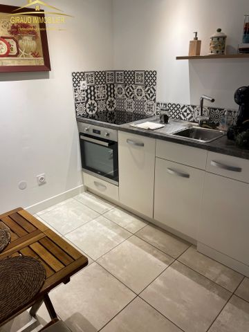Location Appartement 1 pièce 20m² CHARLIEU 42190 - Photo 3