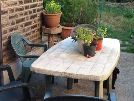 Room in a Shared House, Sutton Court Road, E13 - Photo 5