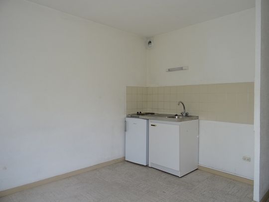 Location Appartement 1 pièce 17m² ORLEANS 45000 - Photo 1