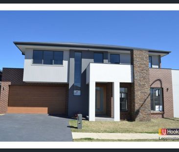 MODERN LIVING - Photo 5