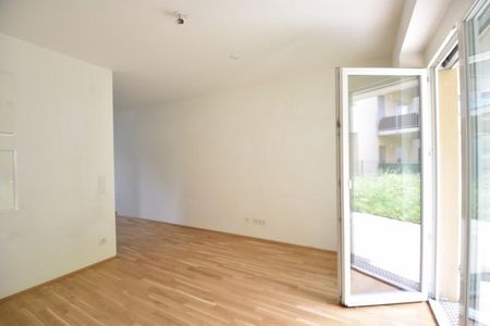 Liebenau – Gartenwohnung – 29m² – 1,5 Zimmer – große Terrasse – eigener Garten - Photo 3