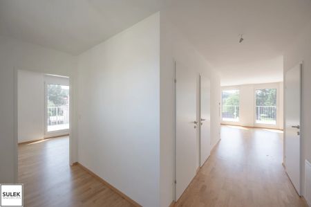 Neulengbach | Erstbezug | Miete | Haus 3 - Top 10 | 3 Zimmer Dachgeschoß mit 48 m² Terrasse - Foto 5