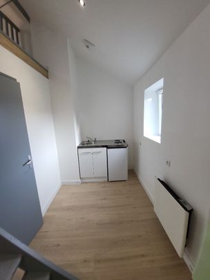 Appartement T1 Lille à louer - Photo 1