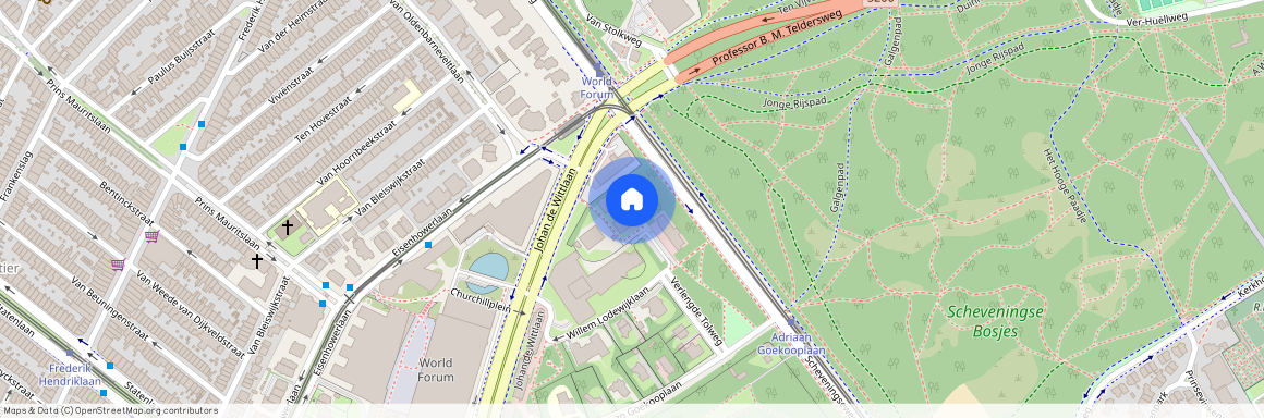 Zorgvliet, 2517 LA, Jan Willem Frisohof, Den Haag