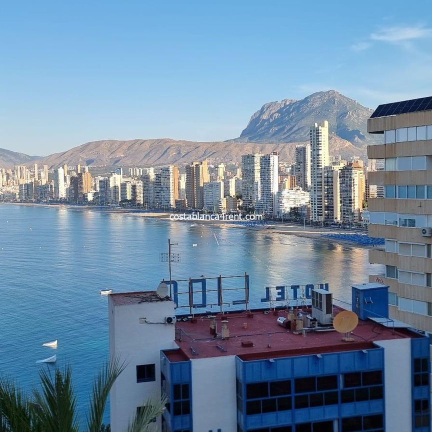 @Benidorm Levante Studio winter holiday let - Photo 1