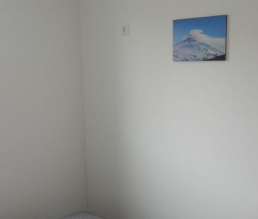 Benedenwoning Oosterlaagte, Leens huren? - Photo 1