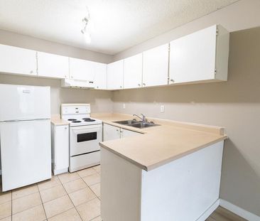 Anna Court Apartments - Photo 3