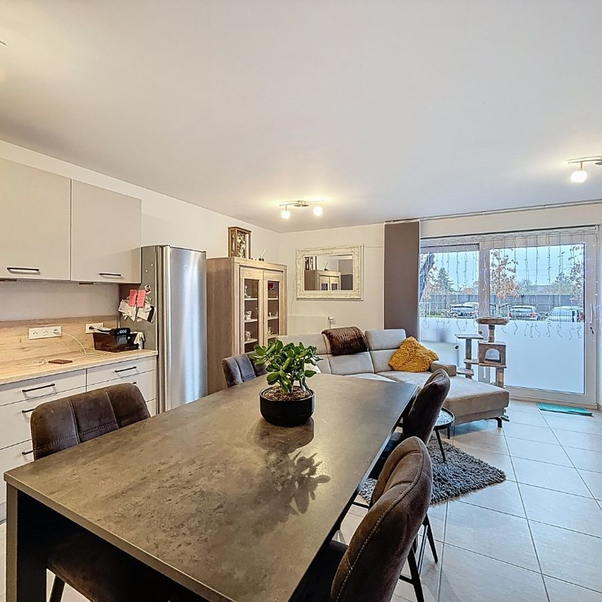 🏡 Gelijkvloers appartement met 2 slaapkamers en tuin - Photo 1