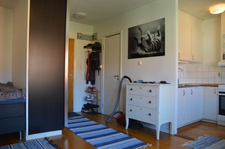 Humlegatan, Uppsala - Photo 2