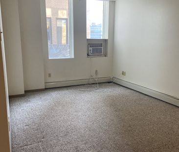 Spacious 1 Bedroom Rental in The Unique Historic Down Town Building... - Photo 6