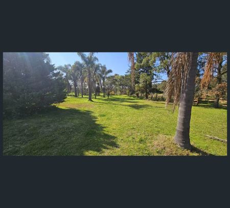 29 Roman Street, Leppington, NSW 2179 - Photo 3