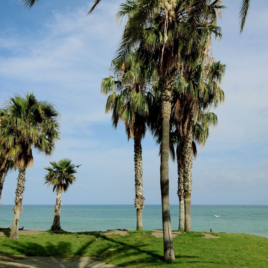 Estudio de alquiler en Maritimo Ciudad de Melilla, La Malagueta - Monte Sancha - Photo 1