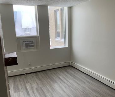 1 BDRM 1 BATH APARTMENT - 115 3RD AVE S - Newly renovated suite in ... - Photo 6