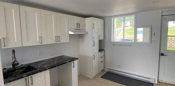 4.5 à louer à Château Richer - Photo 2