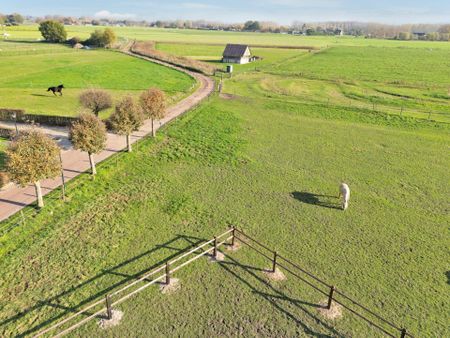 Te huur: Huis Koestraat in Liempde - Foto 4