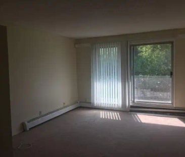 5540 - 44 Ave — 204 - Photo 3