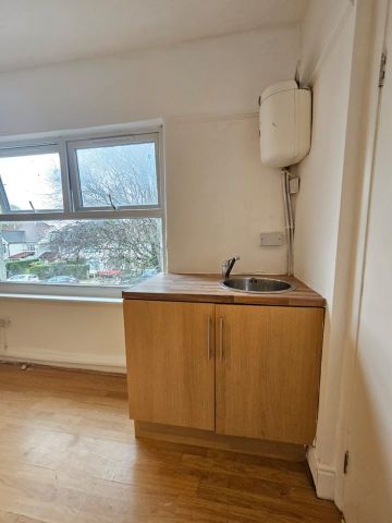 Studio Flat, Ashbourne Avenue, NW11 - Photo 3