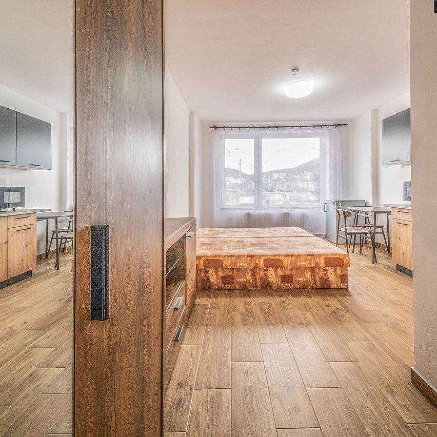 Pronájem bytu 1+kk 25 m² - Фото 1