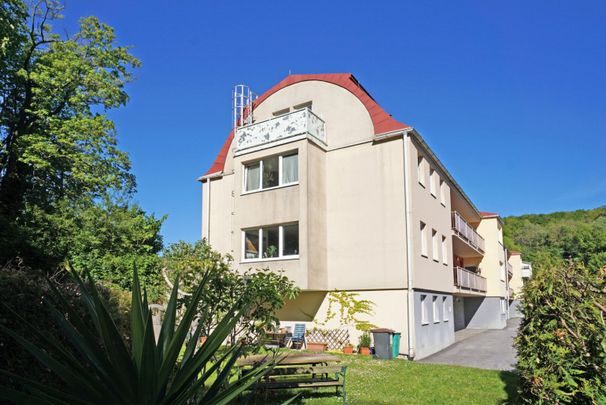 DG-Mietwohnung mit überdachter Terrasse in Pressbaumer Zentrumslage - Photo 1
