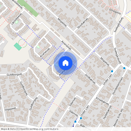 Ananasvej 111, 9000 Aalborg