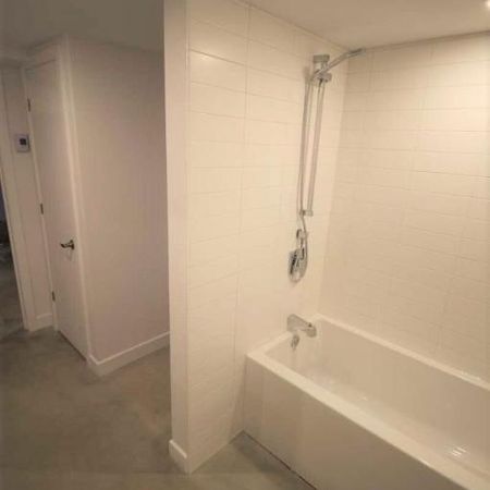6 1/2 - Montréal (Rosemont) - 1 850 $/mois - Photo 4