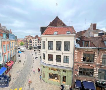 Location Appartement 1 pièce 24m² LILLE 59000 - Photo 4