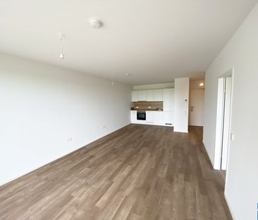 Modern Wohnen im Grünen: Ihr neues Zuhause im Herzen des Tullnerfelds - Foto 2