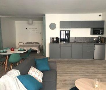 Location - Appartement - 1 pièces - 53.00 m² - montauban - Photo 3