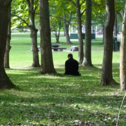 Nanna Svartz gata 10 A - Photo 1