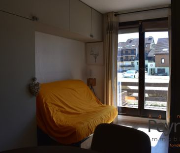 Location Appartement 1 pièce 21m² BOLQUERE 66210 - Photo 2
