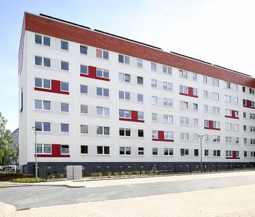 Hergerichtet - 3-Raum-Wohnung in Wald- und Seenähe! - Photo 3