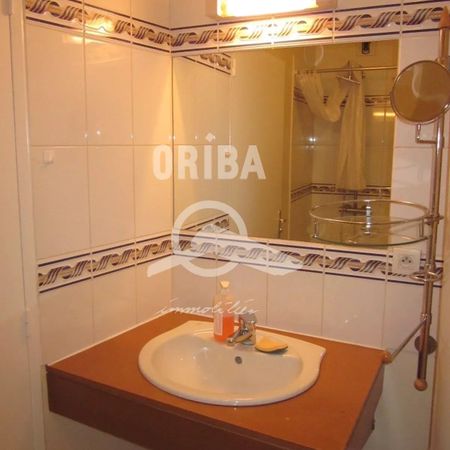 Location Appartement 1 pièce 22m² NANTES 44000 - Photo 4
