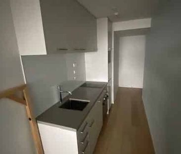 1 Bedroom 1 Bathroom (Furnished Studio Apartment) - Photo 4