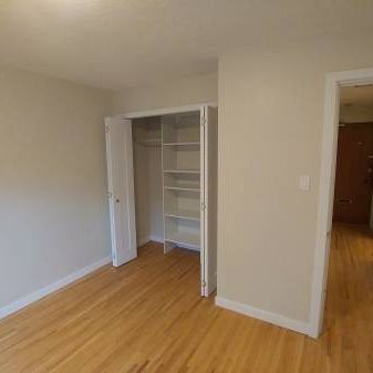 1 bdrm apartment for rent December 1 2024 $2400 - Photo 4