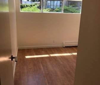 Newly Renovated 1 Bedroom at Pineview Place - Photo 3