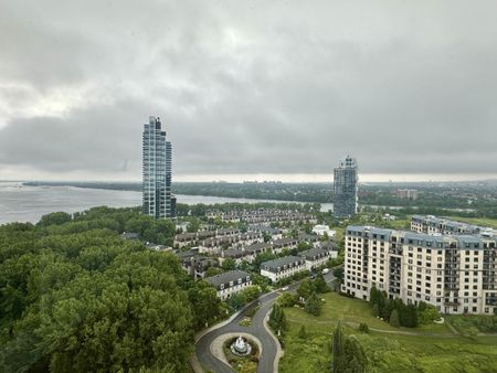 250 Chemin de la Pointe Sud, #2206 - Photo 2