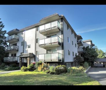 Madrona Manor Apartments | 1955 Ashgrove Street, Victoria - Photo 1