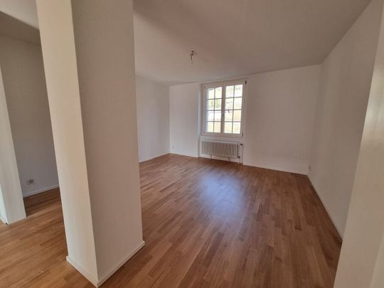 Erstvermietung nach Totalsanierung: Wohnung mit Sicht auf die Birs - Foto 1