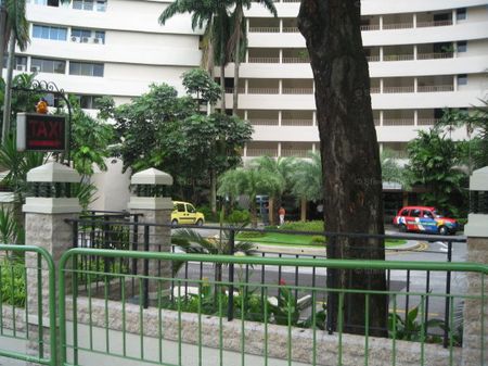 Cairnhill Plaza (D9), Apartment - For Rent - Photo 5