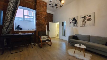 Apartment for rent in Cluj, near the University of Medicine and Pharmacy, central area, Avram Iancu street, with bedroom and living room - Fotografie 2