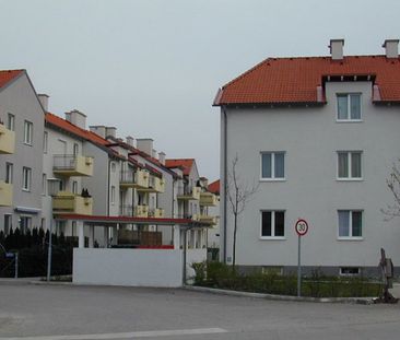 LANGENROHR II/2 - Foto 6