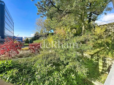 Bel appartement de 2,5 pièces au calme! - Photo 4