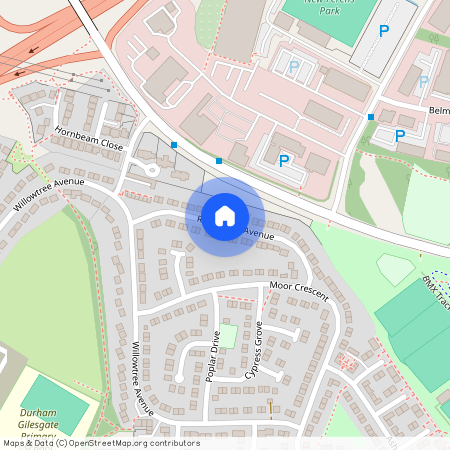 Rowan Tree Avenue, Durham DH1