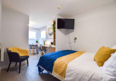 Bronze Studio - Photo 2