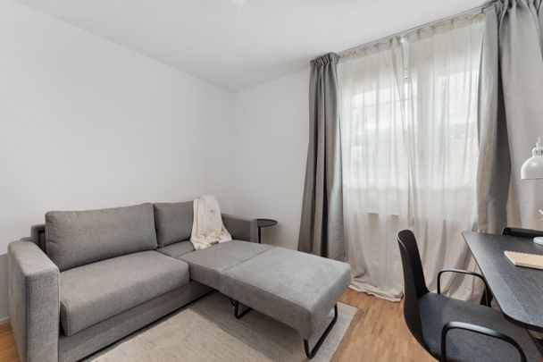 3.5 Zimmer, 68 m², 8. Stock - Photo 1